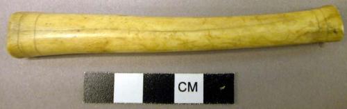 Bone tube