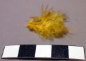 Feather, yellow