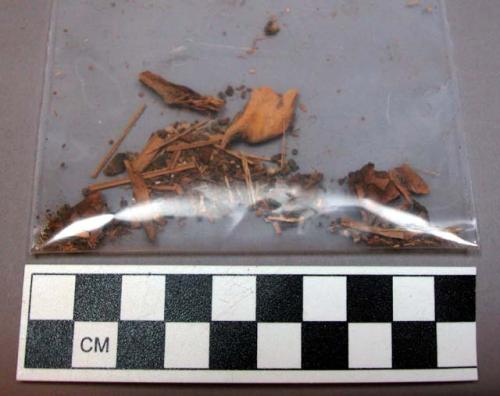 Wood and vegetable fiber fragments found with wood objects from Mexico