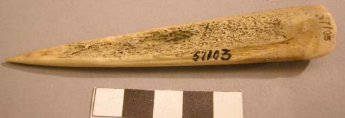 Bone awl made from metacarpal or metatarsal of deer