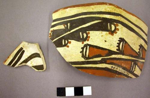 Early modern Hopi polychrome pottery part of rectangular bowl