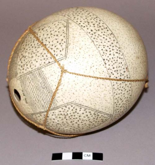 Ostrich eggshell canteen