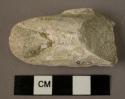 Plaster thumb or toe, once overlaid with gold paint, and small fragment of plast