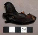 Lower right jaw bone - unidentified