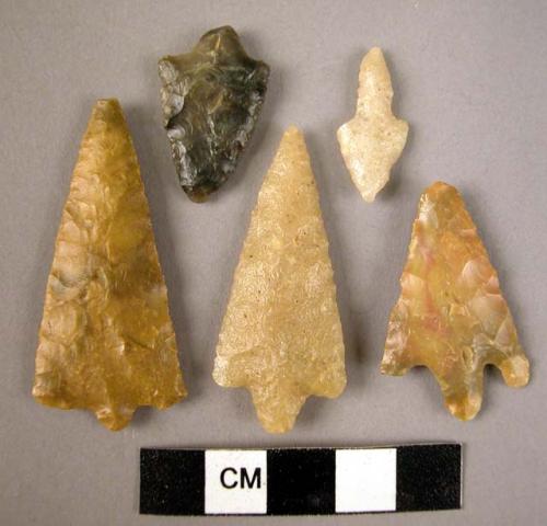 7 flint shouldered points, bifacially pressure-worked