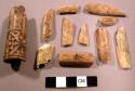 Carved bone tube and 19 Misc. Bone fragments, carved