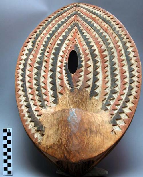 Carved wooden shield