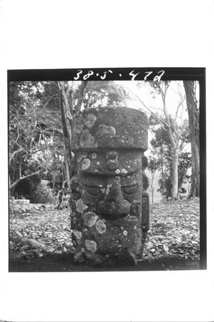 Large stone head with mouth plate carved in the shape of a column