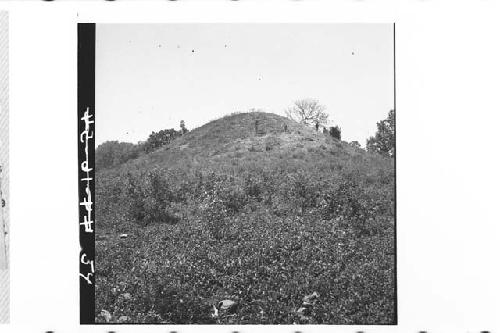 One of the two largest mounds, 40-50 ft. high.  View toward SW.