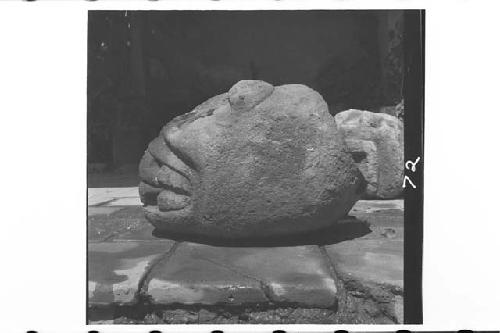 Ruins of Chalchitan-Stone Head from west side of Ball Court, Str. XXIII