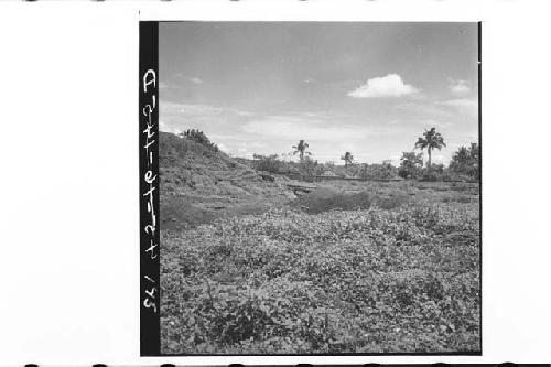 Panorama of N. side of Str. 1 complex, end of 1945 season.  Str. 1