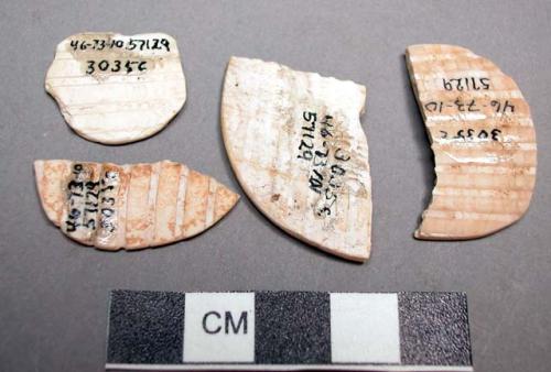 Cardium shell fragments, only roughly circular.