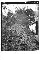 Temple II decoration on E face of roofcomb