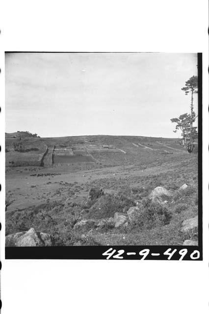 Sheep ranch at 10,000 ft. elevation on Pan-American Road between Totonicapan and