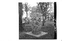 Front and right side of large stone figure in park