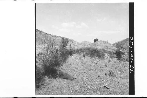 Structures 12, 13, and 14 at the Ruins of Chutinamit