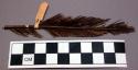 Feather wrapped with sinew