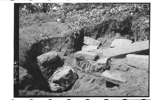 Part of stairway of Mound 6 showing sculptured stones as found