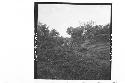 Panorama of N. side of Mound 1 complex, end of 1944 season.  Looking S.