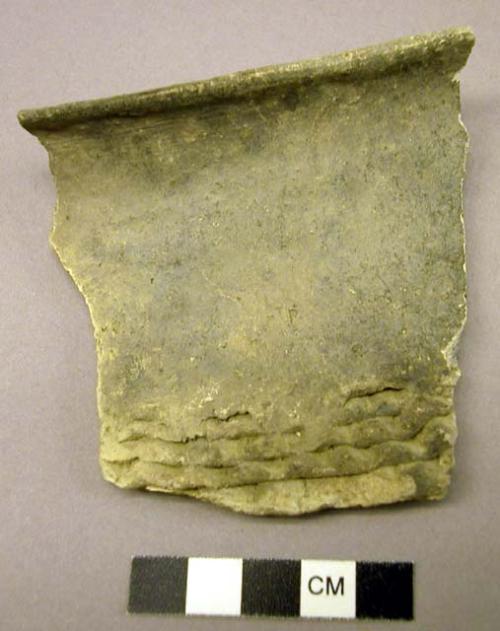 Sherd