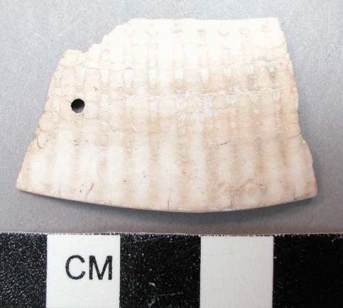 Piece of carved shell with one perforation. 3.3 x 2.5 cm.