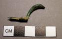 Fibula, leech