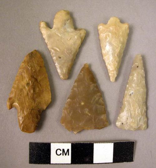 6 flint barbed & stemmed, bifacially pressure-flaked points & fragments