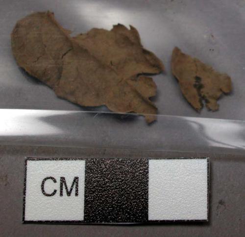 Leaf fragments, dry, brittle