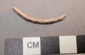 Shell needle with broken end, perforation at other end, curved - width: 0.2 cm.,