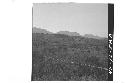 360 degree panorama of Chalchuapa Valley from top of Mound 1.