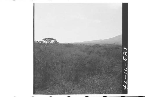 360 degree panorama of Chalchuapa Valley from top of Mound 1.