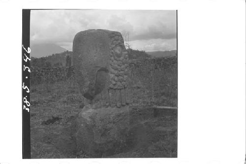 Stone Parrot (front and left side)