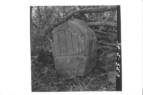 Lower section of large stone parrot, top part missing (right side)