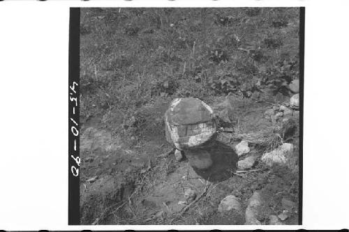 Ruins of Chalchitan-Stone head, north side of Ball Court, Str. XXXV