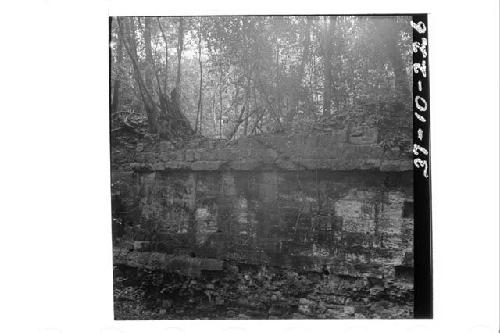 West side of Structure 43, showing carved panel