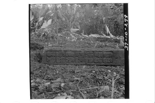 Left side of Stela 8.