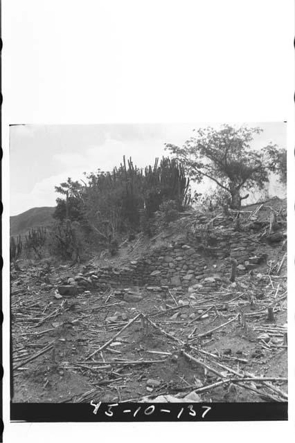 Structure 19 at the Ruins of Chutinamit