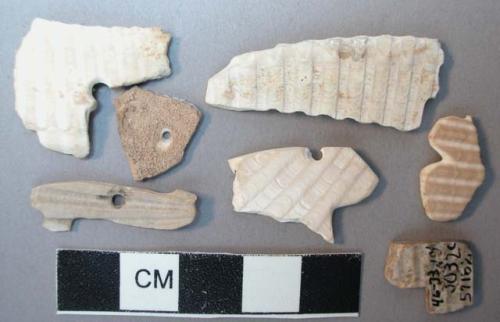 Cardium shell fragments--5 with perforations.