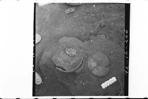 Pottery covering Burial 1-42.