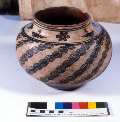 Jar, polacca polychrome (early). linear design.