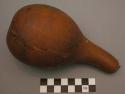 Rattle; gourd; tip of stem cut off; plugged w/cloth; rattles inside