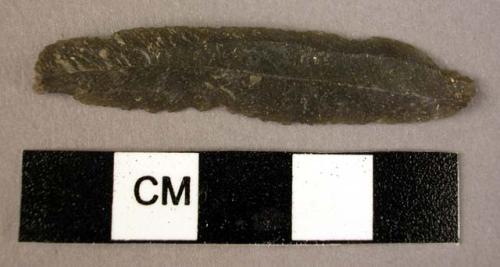 Flint rectangular-scaled ( B 111) burin ? Blade used as a saw