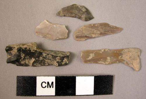 8 chert blades and fragments, unworked