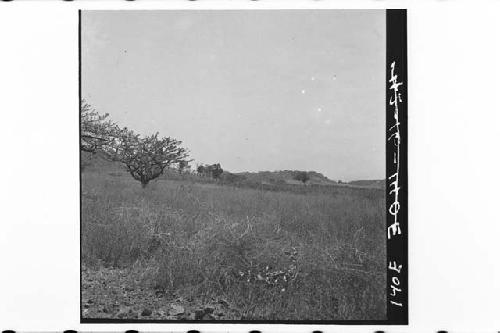 360 degree broken panorama of La Sabana and surrounding country; From Mound 2