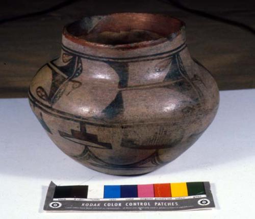 Jar, polacca polychrome (early). linear design.