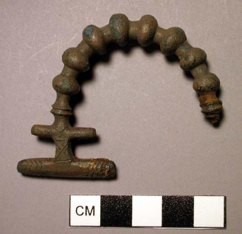 Fibula, knobbed