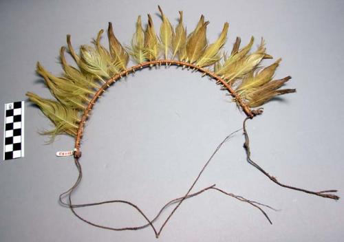 Feather head ornament