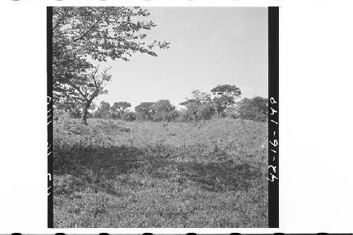 Ball Court, looking south from center of north boundary mound. Mound 10 at right