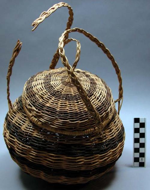 Wicker baskets with covers