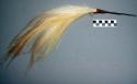 Bird of paradise head ornament ("ndamom"), stuck in hair for dances